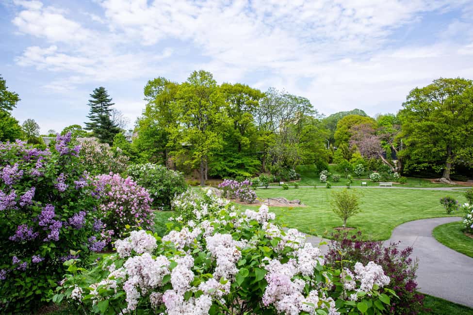 image n.8 of NYC: New York Botanical Garden Pass activity in New York City, uploaded by supplier