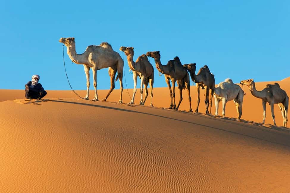image n.36 of Marrakech: 3-day Merzouga Desert, Quad - Camel & Dinner Show activity in Drâa-Tafilalet, uploaded by supplier