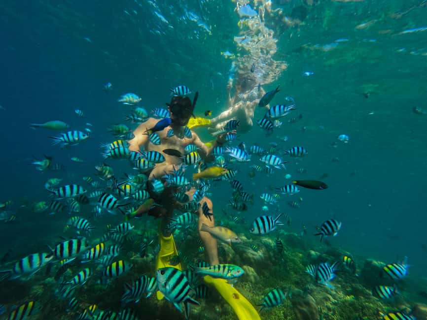 afbeelding n.1 van Lombok: Snorkelen op Gili Nanggu, Sudak & Gili Kedis activiteit in West-Nusa Tenggara, geüpload door aanbieder