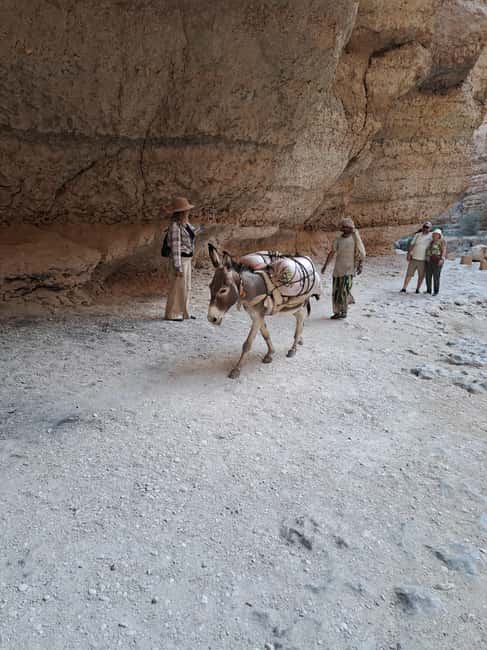 Immagine nº 20 di Da Muscat: Tour guidato di una notte nel campo del deserto attività a Regione al-Sharqiyya, caricata dal fornitore