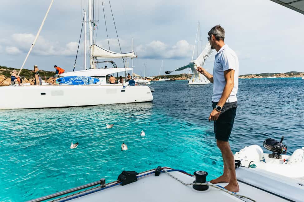 image n.22 of From Palau: La Maddalena Archipelago Catamaran Tour w/ Lunch activity in Sardinia, uploaded by supplier