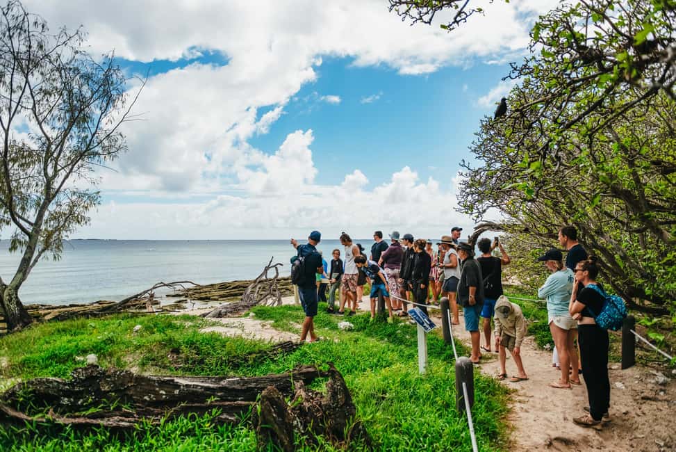 image n.4 of Bundaberg: Lady Musgrave Island and Great Barrier Reef Tour activity in Burnett Heads, uploaded by supplier
