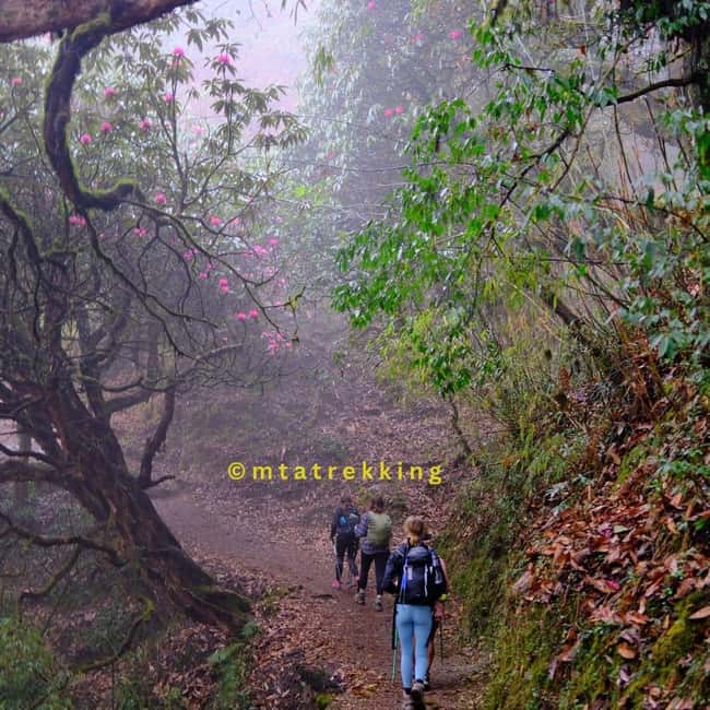 image n.13 of 5-Day Annapurna Base Camp Trek with Natural Hot Springs activity in Ghandruk, uploaded by supplier