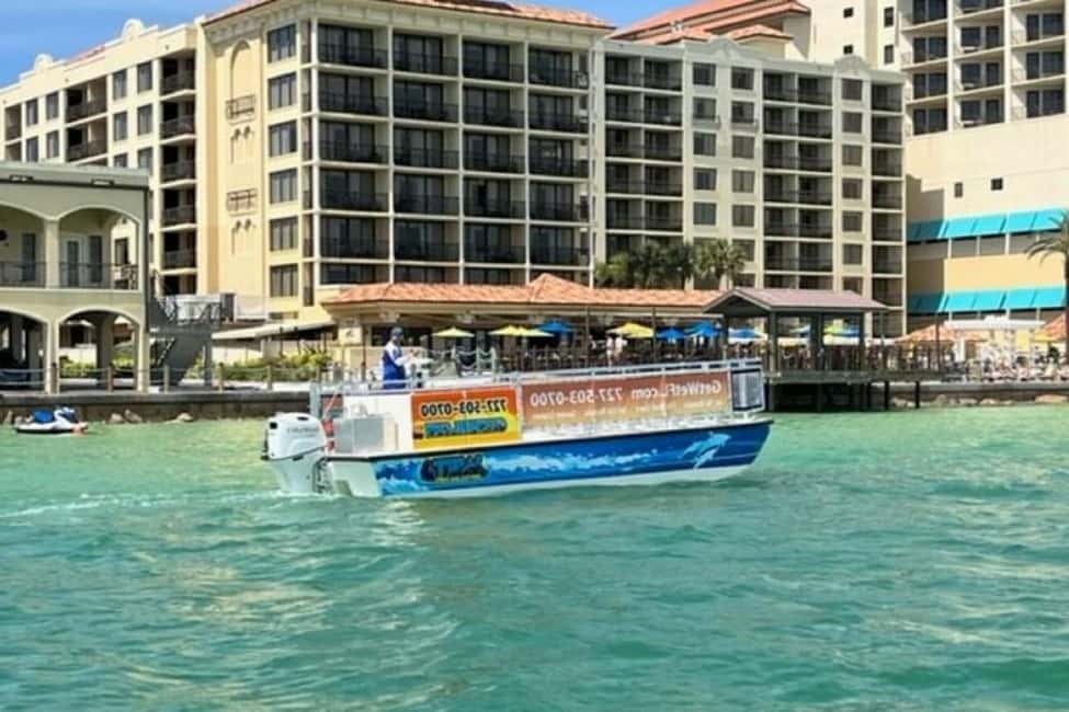 image n.4 of Clearwater Beach: Dolphin-Watching Sunset Cruise activity in Clearwater, uploaded by supplier