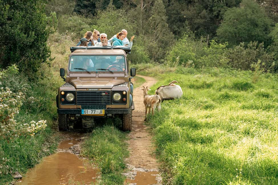 image n.18 of Madeira: Skywalk, Porto Moniz, Seixal, and Fanal 4WD Tour activity in Madeira, uploaded by supplier