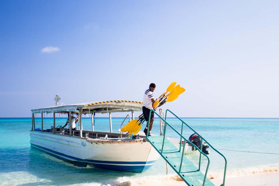 image n.8 of Fiji: Captain Cook Cruises - Island & Reef Day Trip activity in Denarau Island, uploaded by supplier