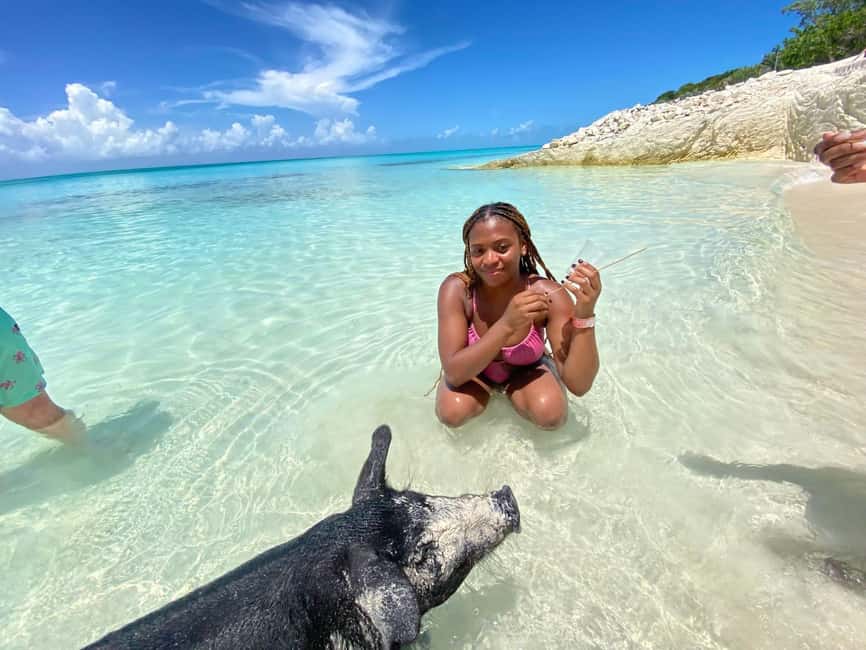 image n.3 of Nassau: 3 Islands Tour, Snorkel, Pig Beach, Turtles & Lunch activity in Berry Islands, uploaded by supplier