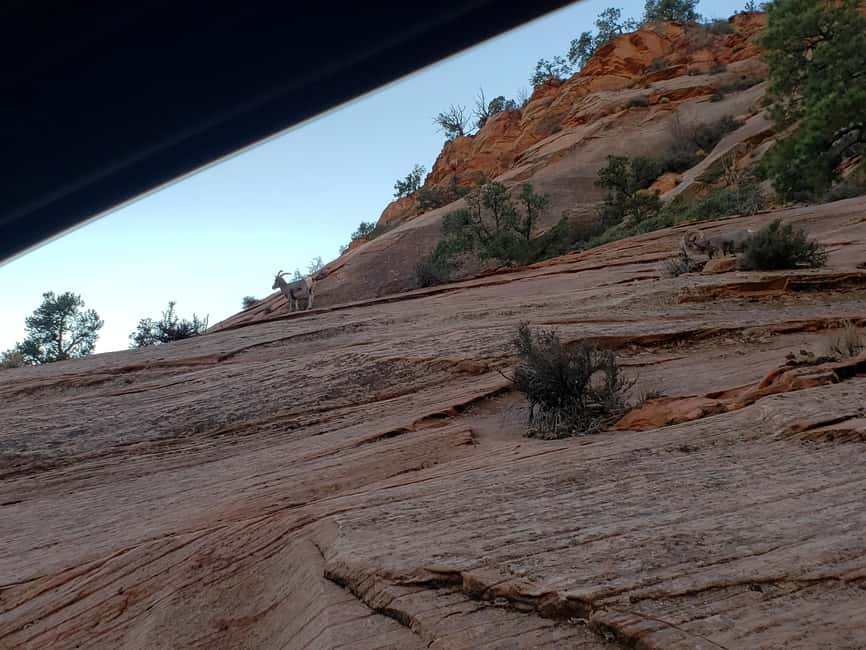 image n.26 of Small Group Tour Zion & Bryce Canyon National from Las Vegas activity in Utah, uploaded by supplier