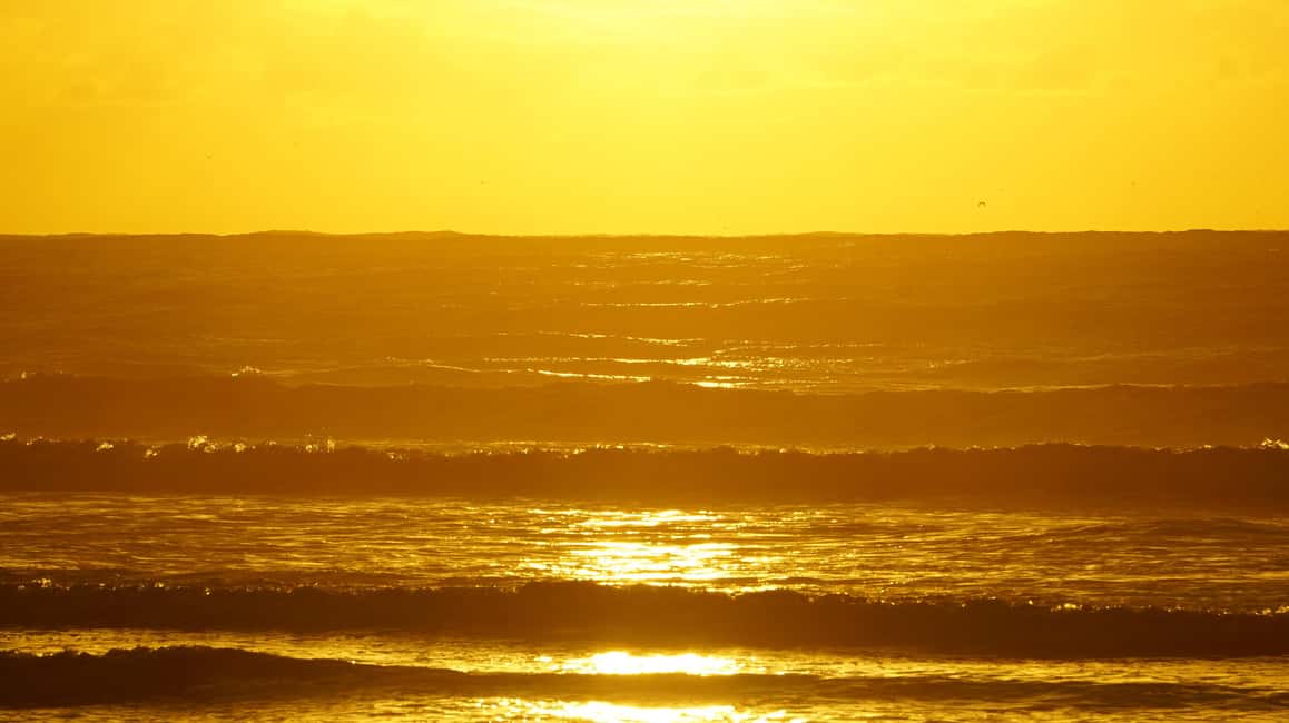 image n.1 of From Essaouira: 2h Horseback Ride with Sunset activity in Essaouira, uploaded by supplier
