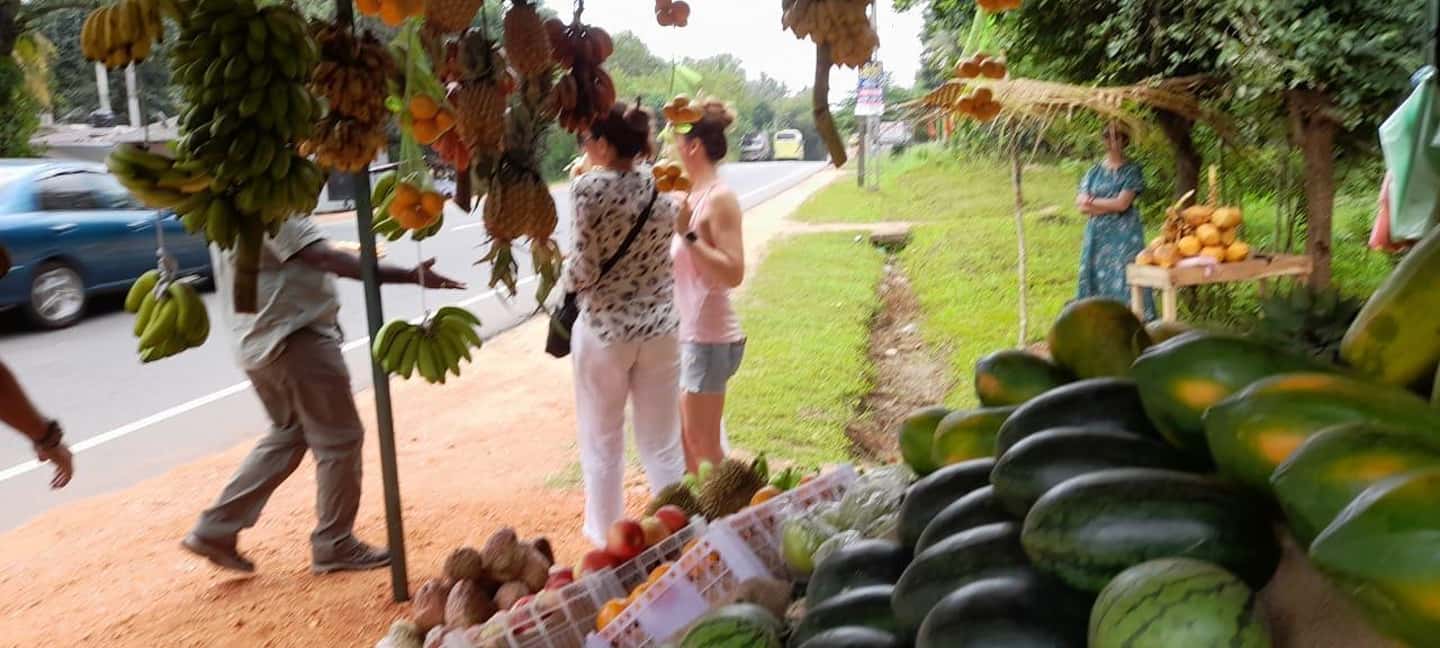 image n.46 of From Colombo: Sigiriya and Dambulla Day Trip and Safari activity in Sigiriya, uploaded by supplier