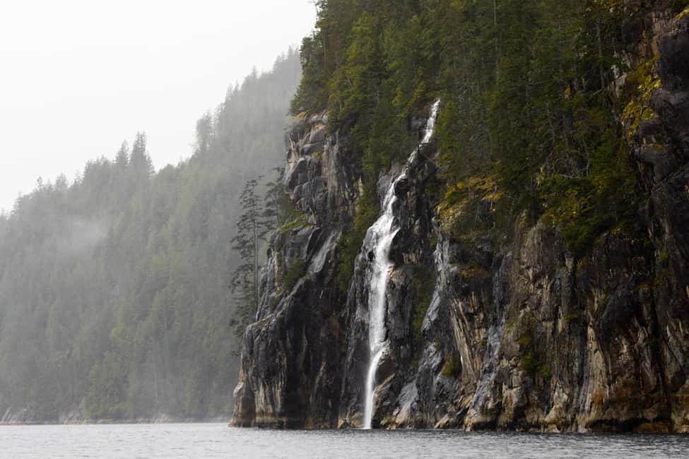 image n.4 of Vancouver Island: Full-Day Grizzly Bear Tour at Toba Inlet activity in British Columbia, uploaded by supplier