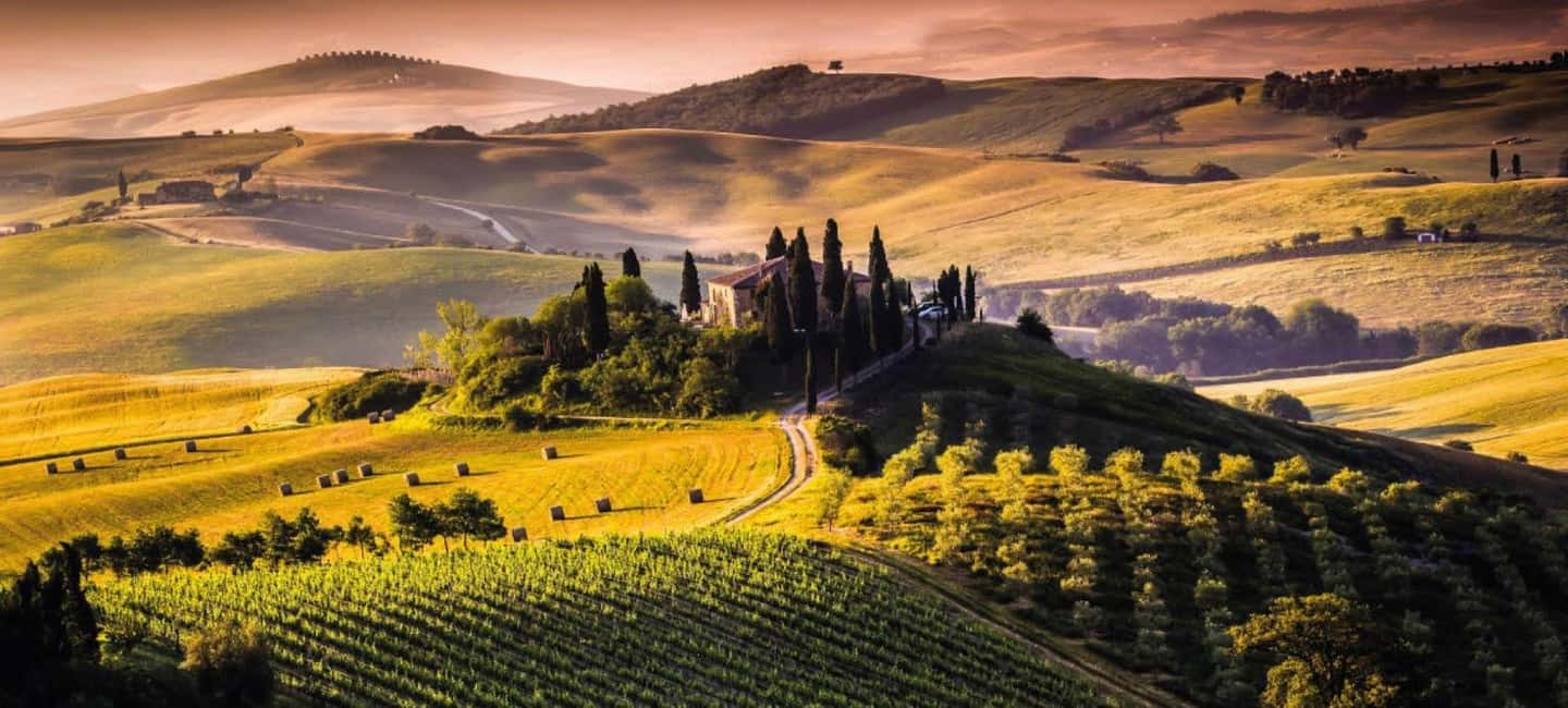 imagem n.7 de Toscana: Siena, San Gimignano e Chianti Wine Tour atividade em San Gimignano, carregada pelo fornecedor