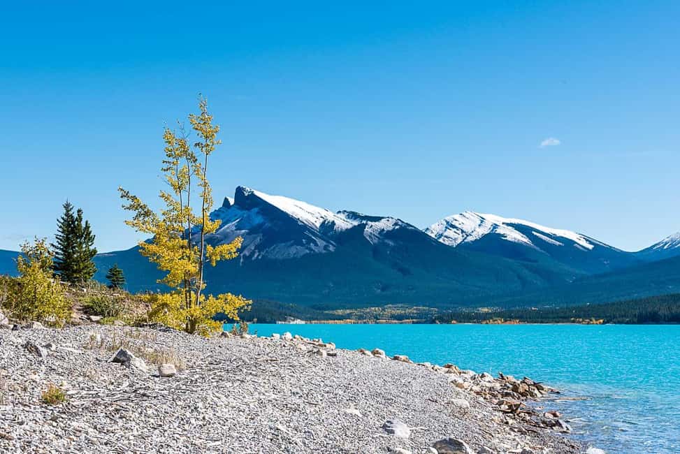 image n.7 of Calgary: Day Trip to Jasper with Lunch activity in Alberta, uploaded by supplier
