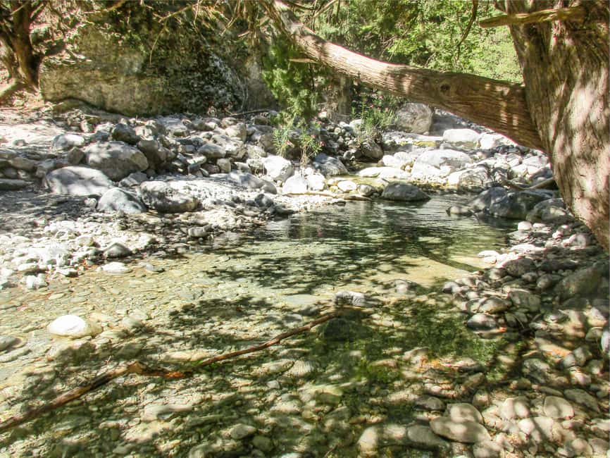 bilde nr.25 av Fra Chania: Heldagsutflukt til Samaria-kløften med guide aktivitet i Chania, lastet opp av leverandør