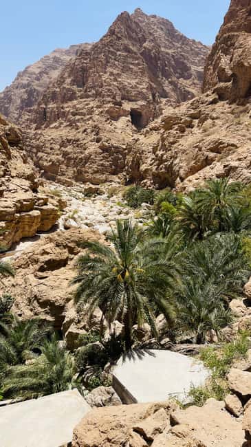 Immagine nº 49 di Muscat: escursione di un'intera giornata a Wadi Shab, grotta romantica e sinkhole attività a Regione al-Sharqiyya, caricata dal fornitore