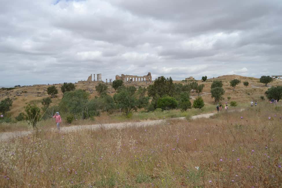 billede nr.15 af aktiviteten Dagstur fra Fes til Volubilis via Meknes og Moulay Idriss i Meknès, uploadet af udbyder