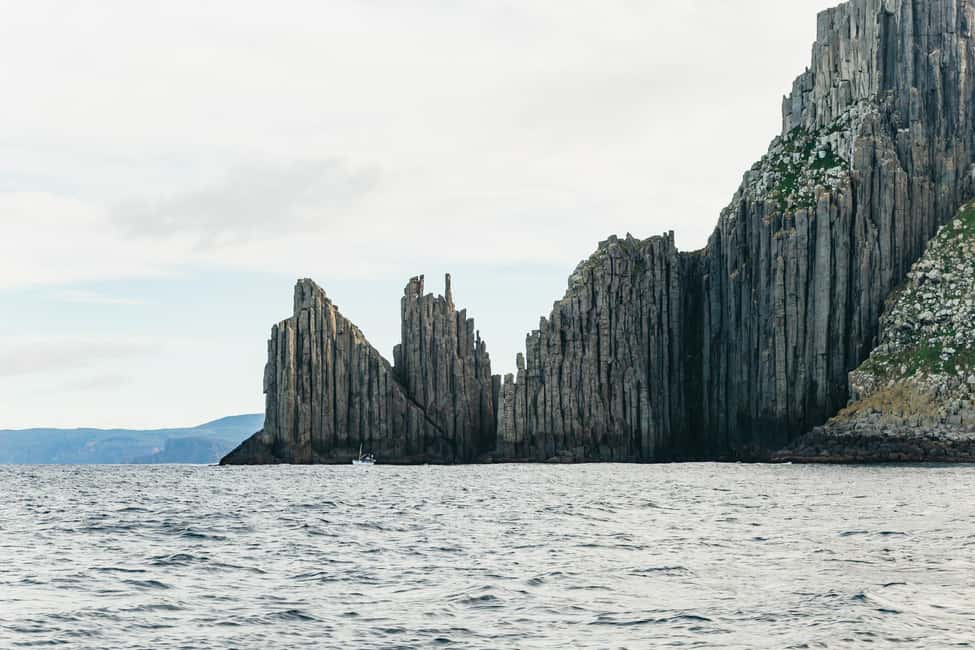 image n.10 of From Port Arthur: Tasman Island Wilderness Cruise activity in Port Arthur, uploaded by supplier