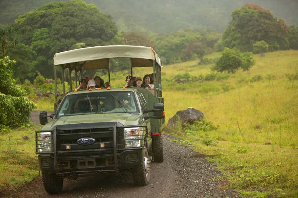 Immagine nº 9 di Oahu: tour di spedizione nella giungla all'aperto di Kualoa attività a Kaneohe, caricata dal fornitore
