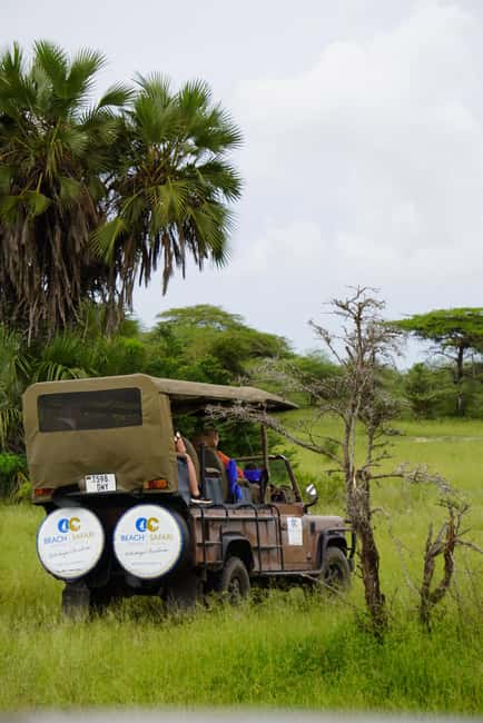 image n.55 of From Zanzibar: Day Selous Game Reserve Safari with Flights activity in Morogoro Region, uploaded by supplier