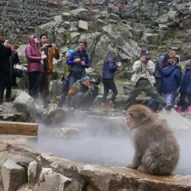 image n.17 of From Tokyo: Private Tour Snow Monkey Park & Zenko-ji Temple activity in Nagano, uploaded by supplier
