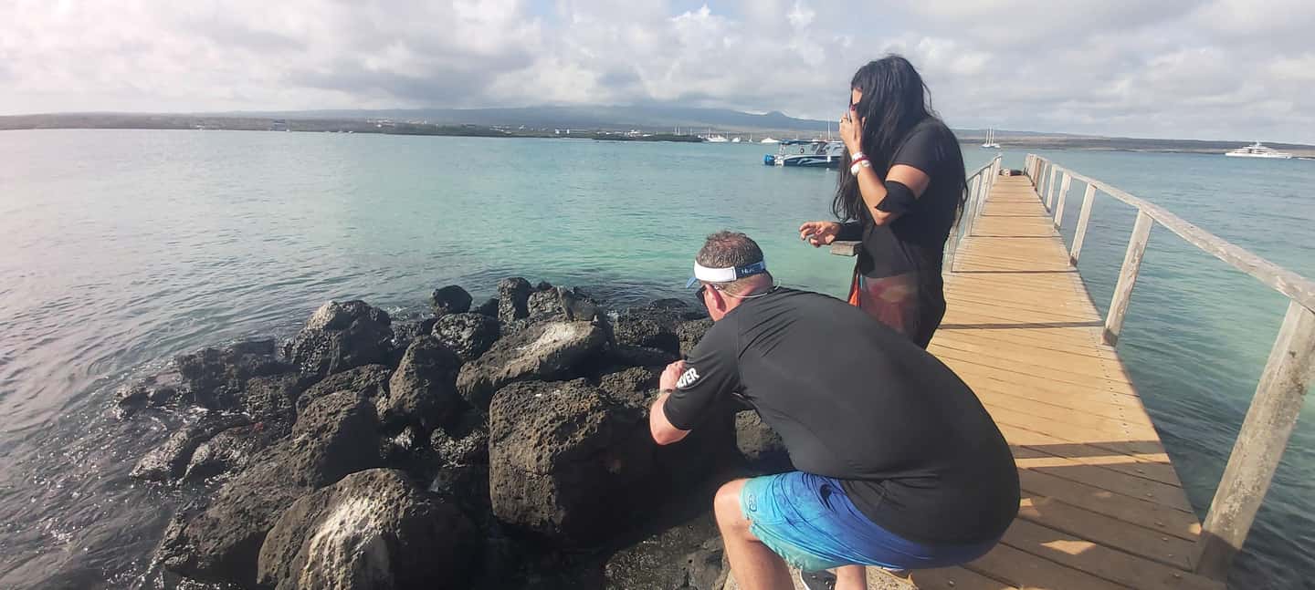 image n.7 of Half Day Bay Tour in Santa Cruz Island activity in Puerto Ayora, uploaded by supplier