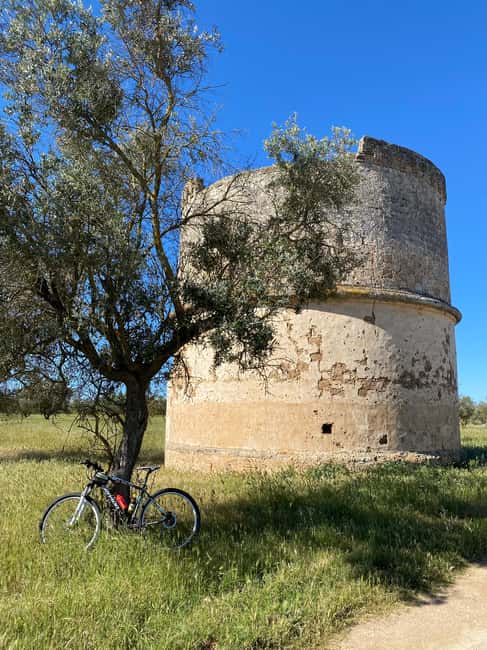 Immagine nº 7 di Esplora la bellezza di Porto Selvaggio con un tour in bicicletta autogestito attività a Lecce, caricata dal fornitore