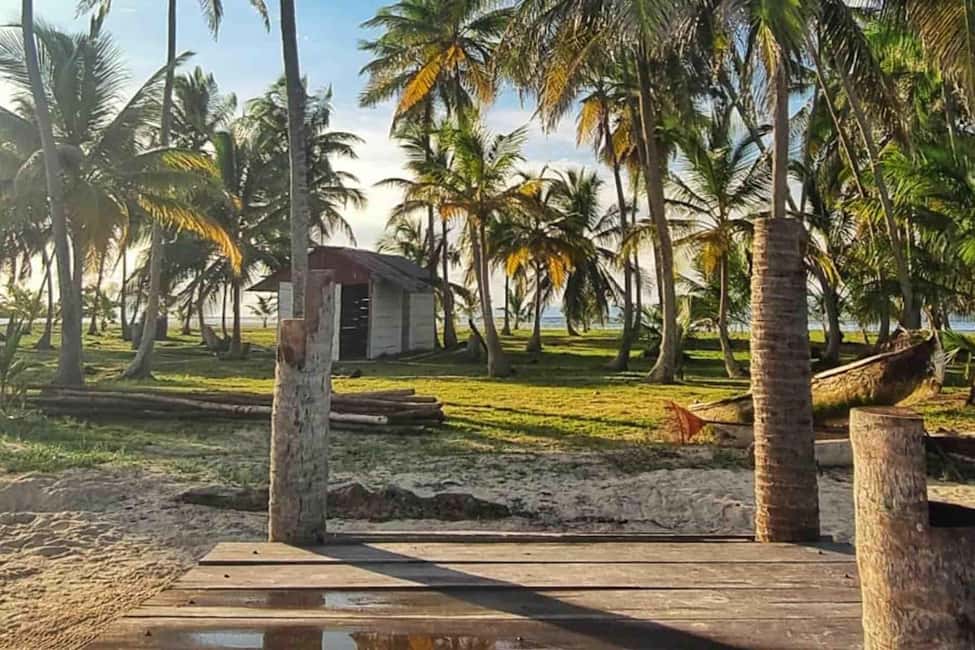 billede nr.33 af aktiviteten Panama City: Dagstur til San Blas-øen og New Paradise Island i San Blas-øerne, uploadet af udbyder