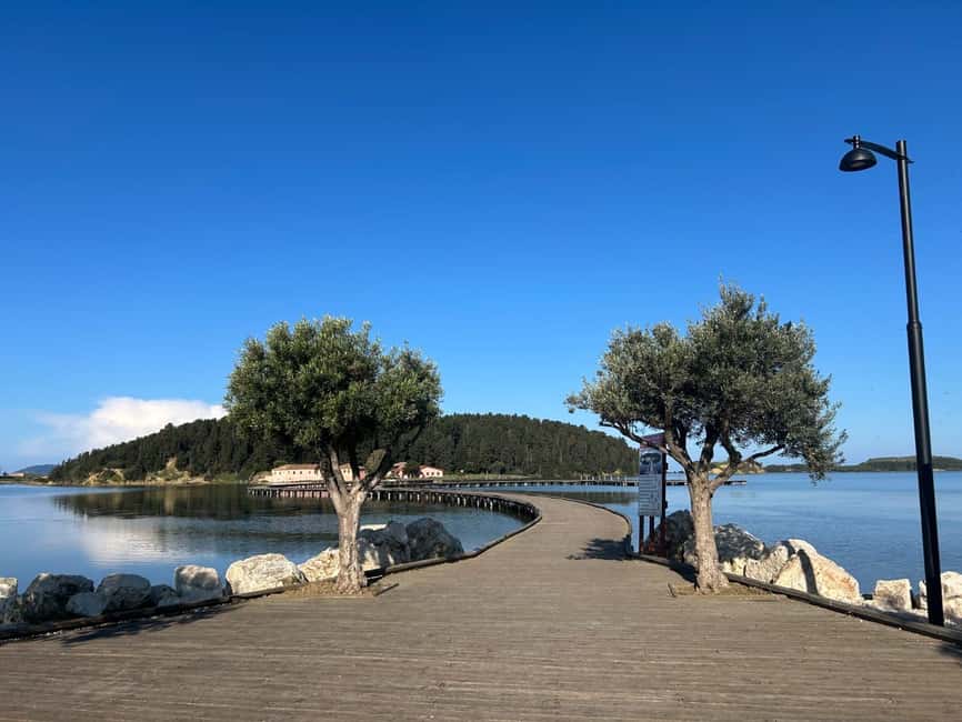 Immagine nº 1 di Da Valona: tour di un giorno a Zvernec, Apollonia e Berat attività a Berat, caricata dal fornitore