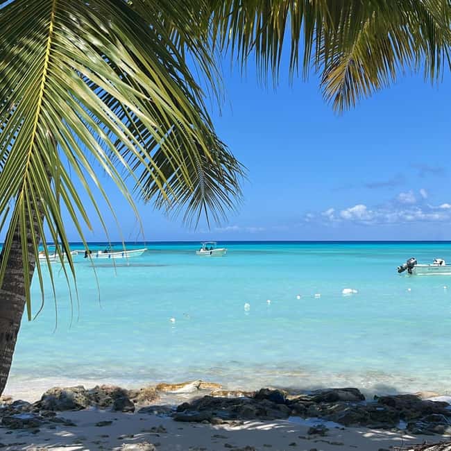 image n.18 of Saona Island: Beach & Natural Pool Small-Group Tour w/ Lunch activity in La Romana (Province), uploaded by supplier