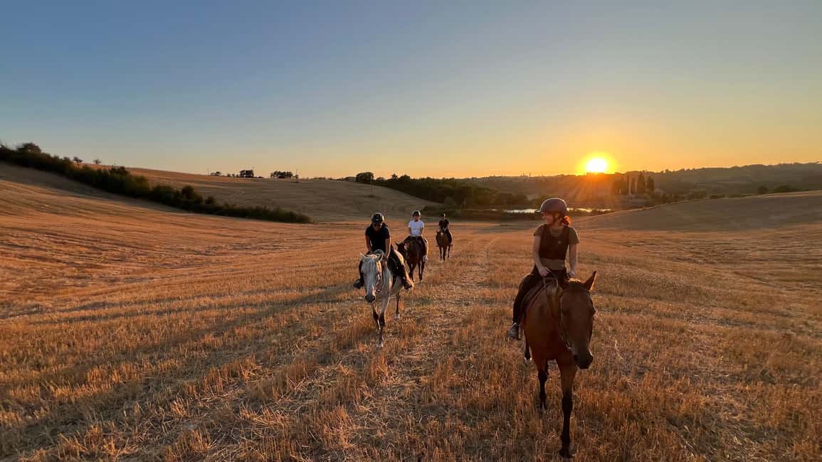 imagen n.º 1 de Siena: Paseos a caballo con Siena al fondo actividad en Siena, subida por el proveedor