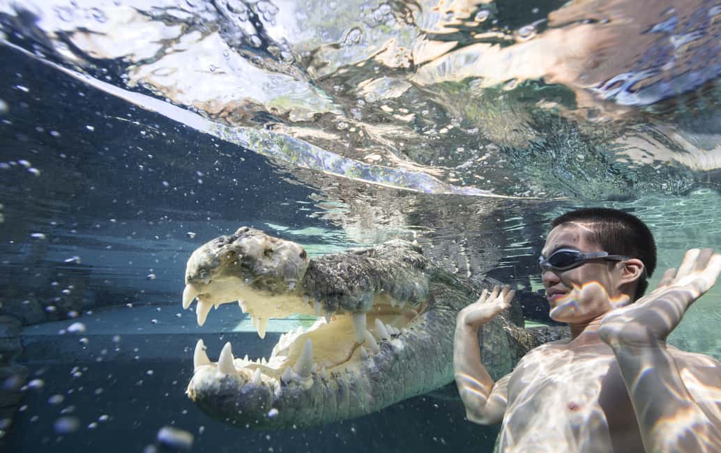 image n.2 of "Cage Of Death" Crocodile Swim and Entry to Crocosaurus Cove activity in Darwin, uploaded by supplier