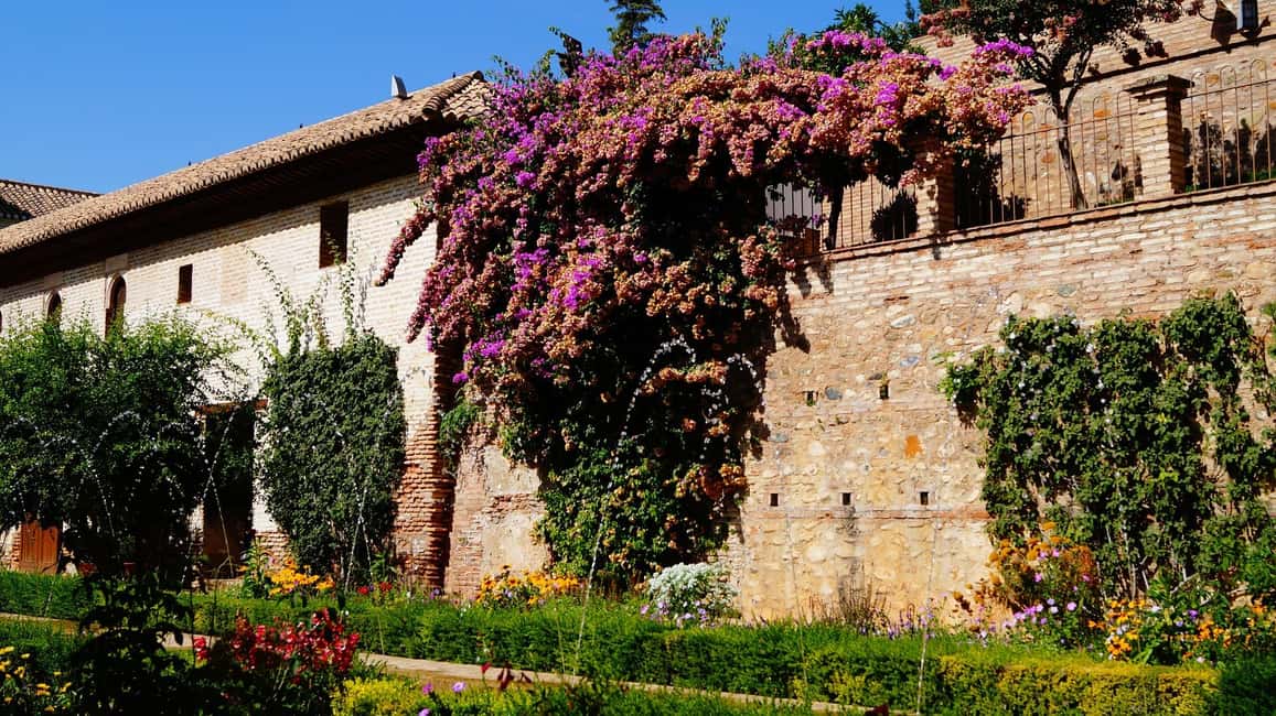 image n.3 of From Málaga: Sunset Alhambra Tour with Tickets activity in Granada, uploaded by supplier
