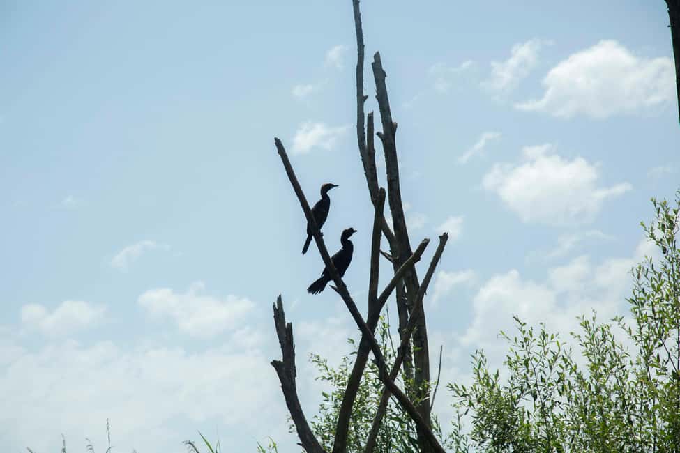 image n.22 of Skadar Lake: Individual Kayaking Experience activity in Podgorica Municipality, uploaded by supplier