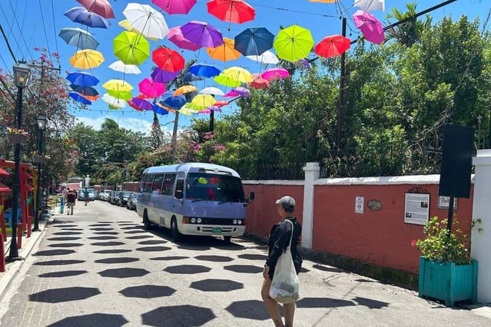 Image N°8 de Nassau : Visite culinaire en scooter électrique avec dégustation de mets et de boissons locales activité à Nassau, Bahamas, publiée par le prestataire