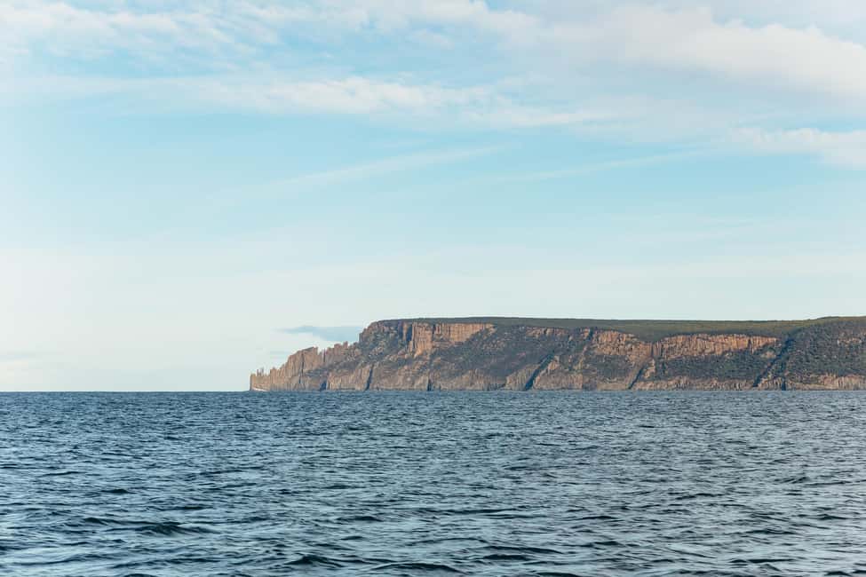 image n.9 of From Port Arthur: Tasman Island Wilderness Cruise activity in Port Arthur, uploaded by supplier