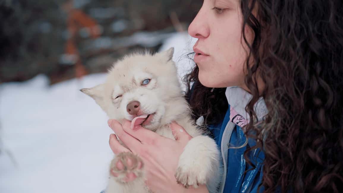 image n.6 of Ushuaia: Snowmobile+Rockets+Huskies+Skiing+Lunch or Pizza Rodizio activity in Ushuaia, uploaded by supplier