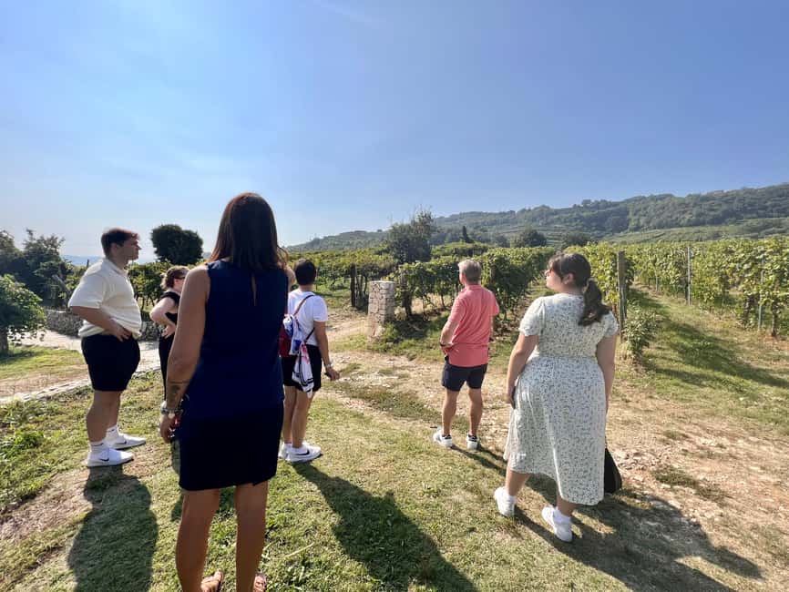 Immagine nº 43 di Il tour completo dell'Amarone: 2 cantine, pranzo e approfondimento sull'Amarone attività a Verona, caricata dal fornitore