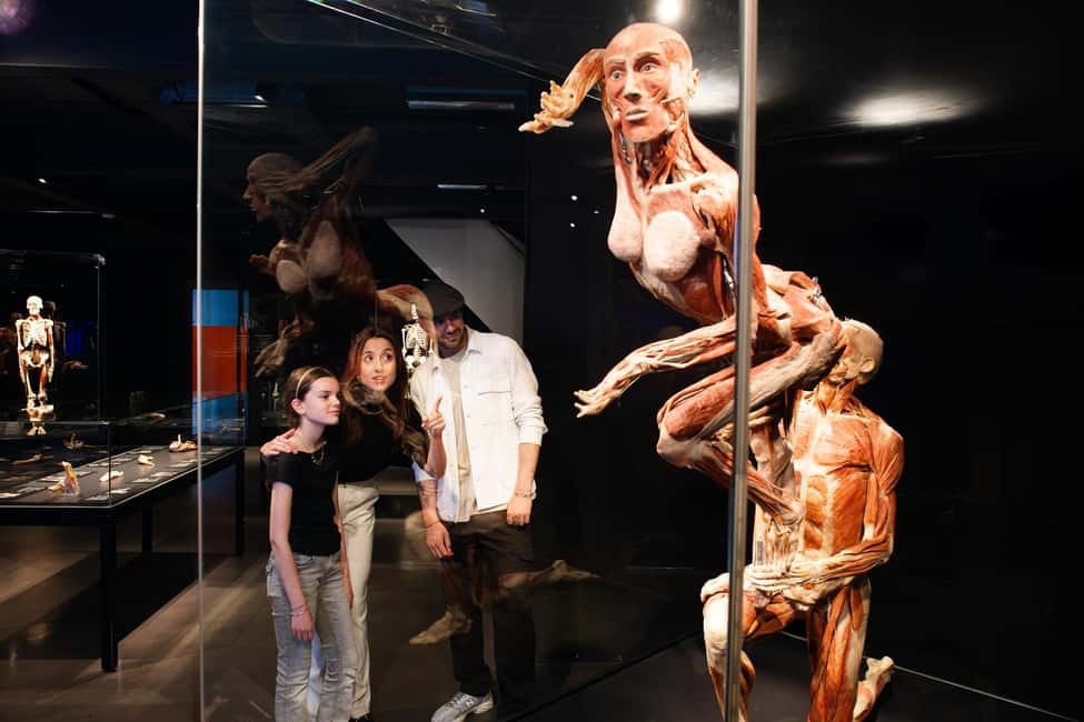image n.3 of Body Worlds Amsterdam: The Happiness Project Ticket activity in Amsterdam, uploaded by supplier