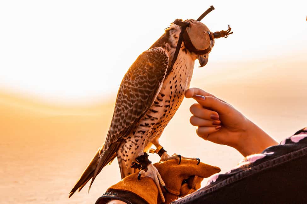 image n.13 of Dubai: Hot Air Balloon Ride with Camel Ride & Falcon Show activity in Dubai, uploaded by supplier