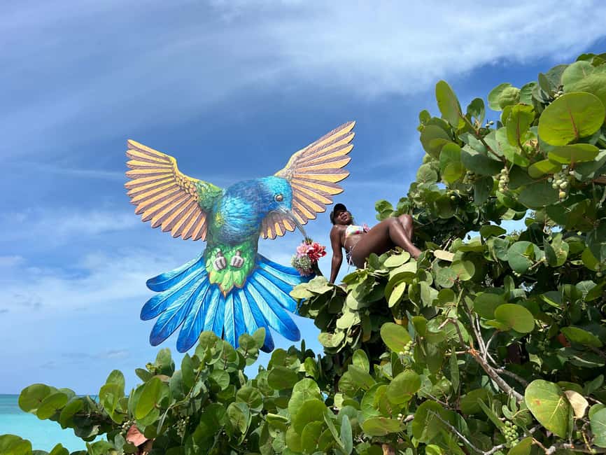 Image N°47 de Nassau : Plongée en apnée dans les récifs, tortues, déjeuner et club de plage privé activité à Bahamas, publiée par le prestataire
