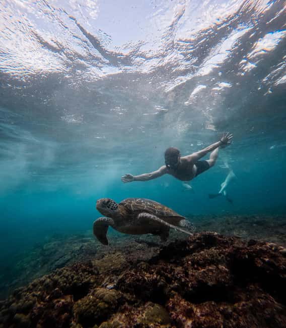 image n.9 of From Lembongan: Manta Point Snorkeling & West Penida Tour activity in Bali, uploaded by supplier