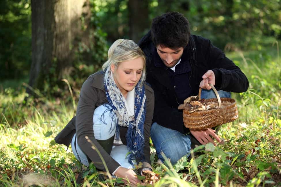 image n.11 of Tuscany: Truffle Hunting and Meal at a Winery activity in Florence, uploaded by supplier