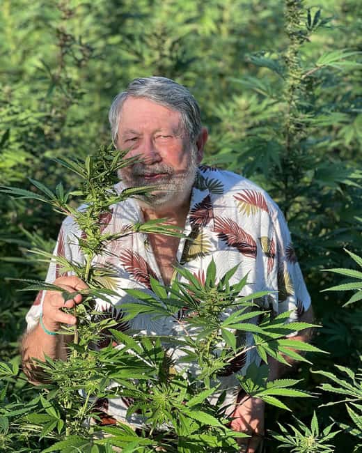 imagem n.3 de Montego Bay: Tour particular com transporte pela fazenda de maconha atividade em Montego Bay, carregada pelo fornecedor