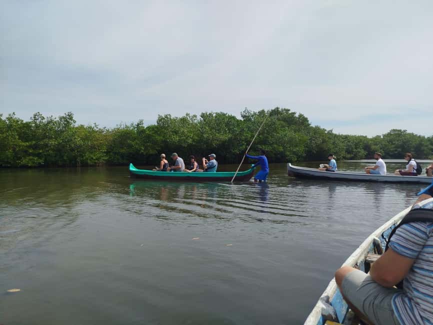 image n.55 of Cartagena: Private Sail in the mangrove GUIDE in ENGLISH activity in Cartagena, uploaded by supplier
