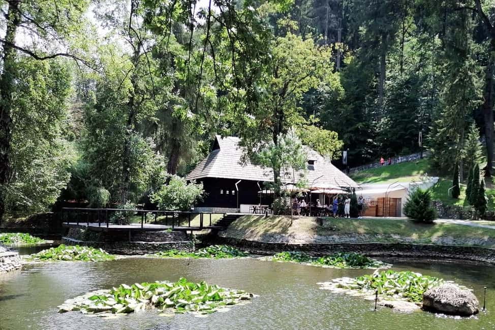 image n.6 of Legends&Wildlife Awaits: Dracula's Castle & Bear Sanctuary activity in Brasov, uploaded by supplier