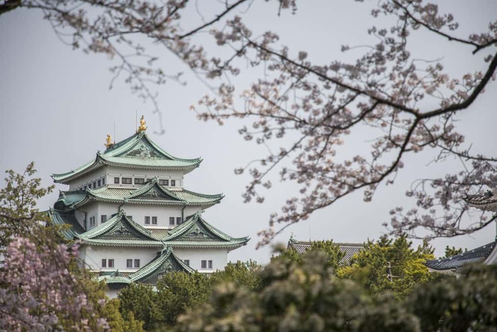 image n.3 of 1-Day Tour: Nagoya Castle, Gardens & Historic Estate activity in Nagoya, uploaded by supplier