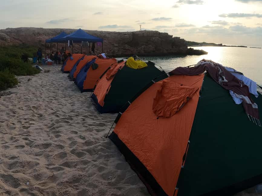 Immagine nº 19 di Isola di Daymaniyat: tour di snorkeling con pranzo gustoso attività a Seeb, caricata dal fornitore