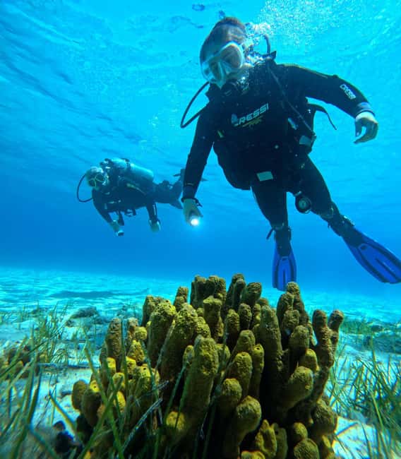 image n.17 of Sithonia: Scuba Diving Experience for Beginners activity in Nikiti, uploaded by supplier