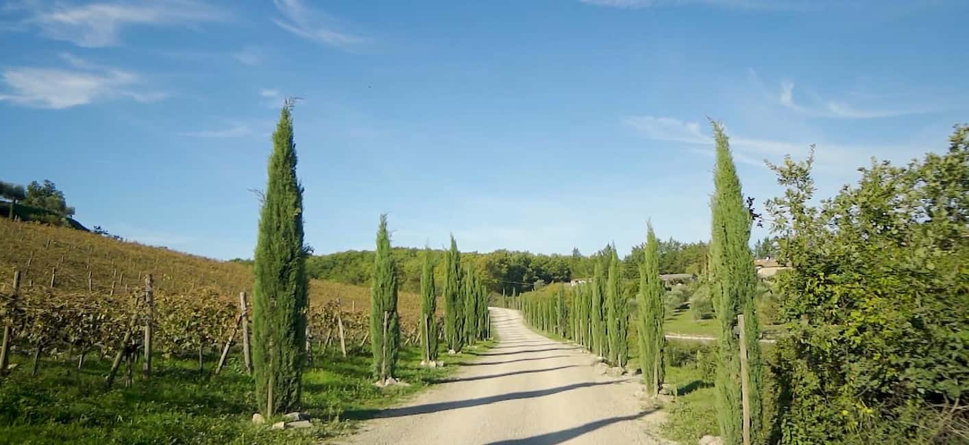 Immagine nº 3 di Firenze: Tour privato del Chianti, Montalcino e Montepulciano attività a Firenze, caricata dal fornitore