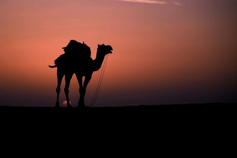 billede nr.17 af aktiviteten Fra Fes: 2-dages ørken-tur med luksus-camping til Marrakech i Marrakesh-Safi, uploadet af udbyder